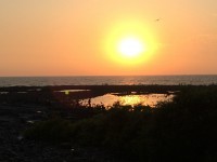 /album/the-india-experience/img-0415-large-jpg/